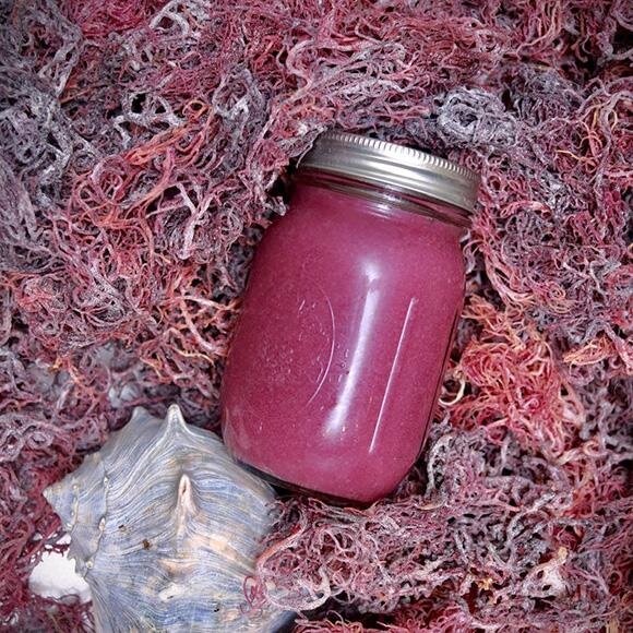 Purple Sea Moss Gel (12 PACK - WHOLESALE)